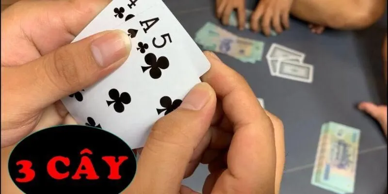 Hướng Dẫn Chơi Ba Cây Rikvip: Luật Lệ & Mẹo Cược Từ Chuyên Gia
