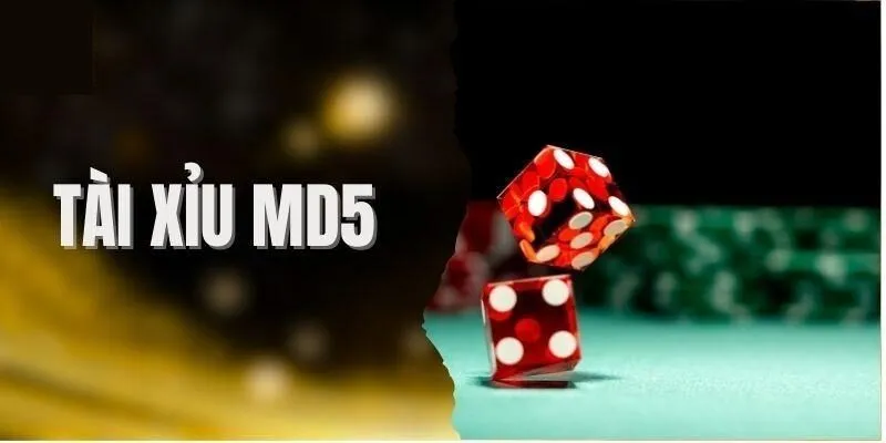 Tài Xỉu MD5 Rikvip - Hướng Dẫn Check Mã & Chơi Minh Bạch